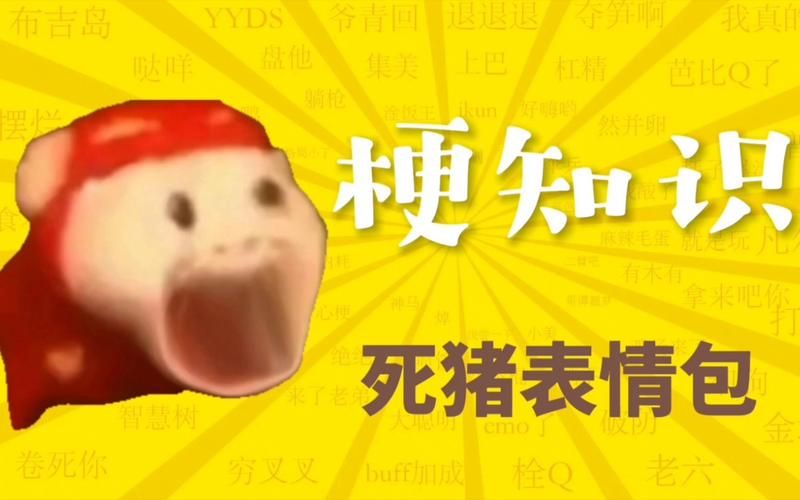 轻松一刻：盘点那些让你笑出猪叫的搞笑梗