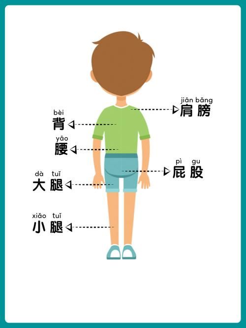 轻松学习：身体的“身”字有哪些组词方法