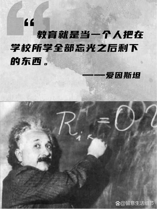 轻松学会向阿尔伯特学技能：简单易懂的步骤教学