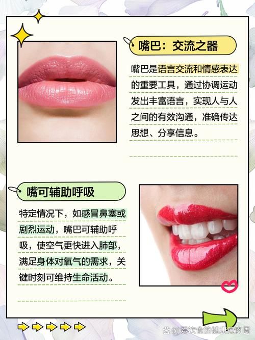 轻松学会唇齿音发音：几个关键特点详解