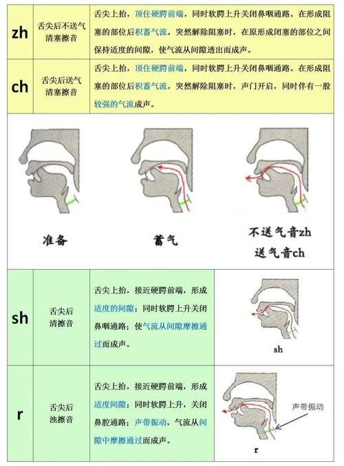 轻松学会唇齿音发音：几个关键特点详解