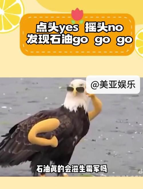 轻松学英语：点头yes摇头no顺口溜大全