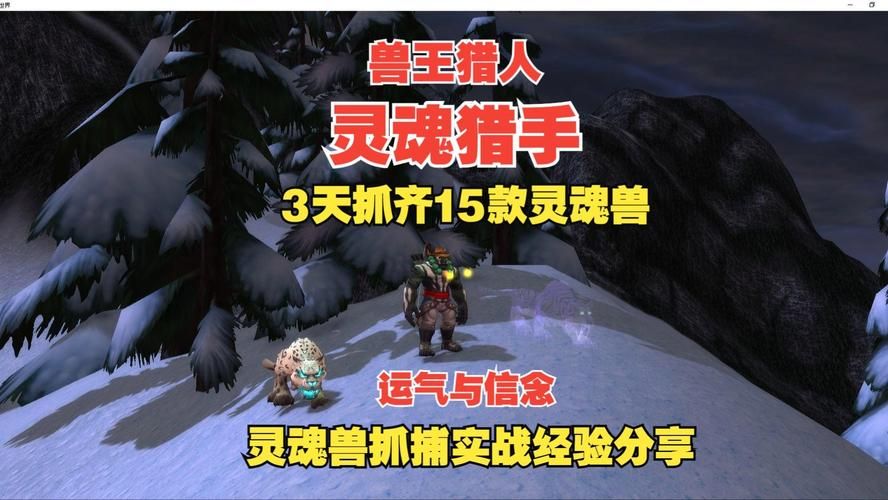 轻松捕捉魔兽世界海山灵魂兽：新手必看攻略