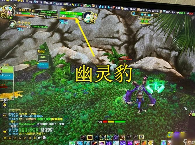 轻松捕捉魔兽世界海山灵魂兽：新手必看攻略