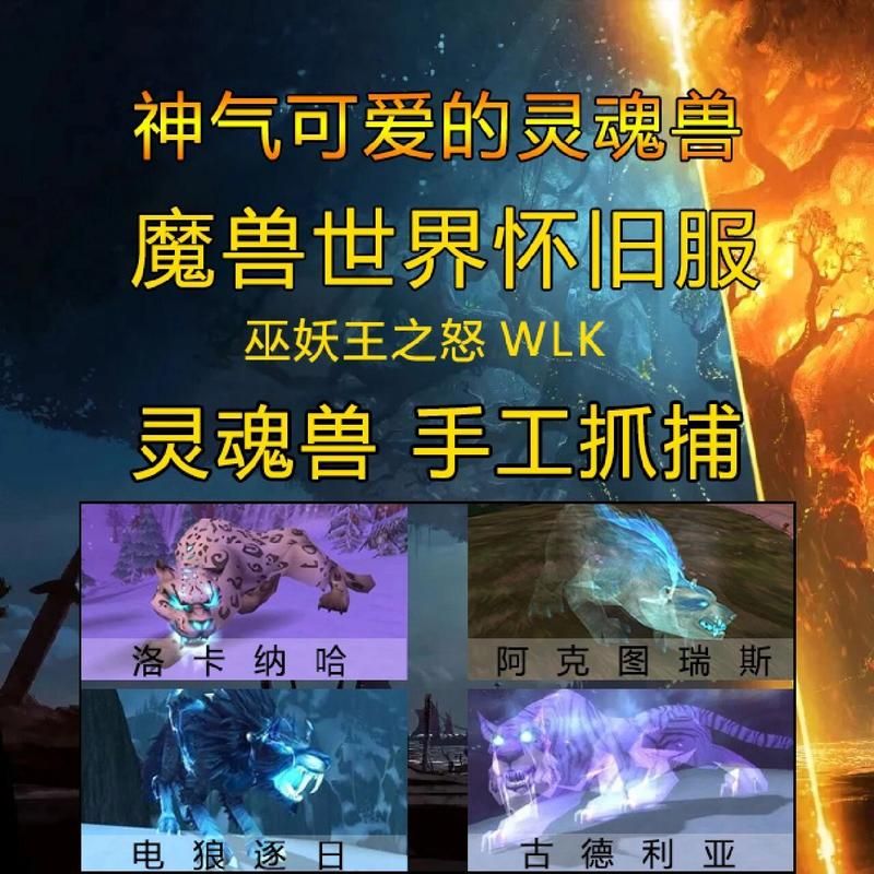 轻松捕捉魔兽世界海山灵魂兽：新手必看攻略