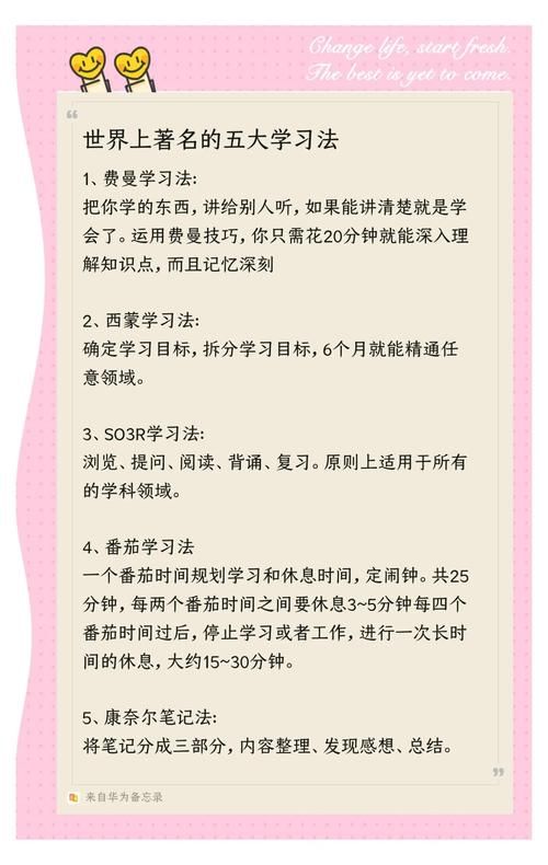轻松掌握中文：适合初学者的中文学习计划