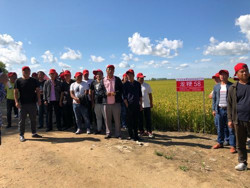 轻松掌握致富发家三肖六码：告别贫穷，走向富裕