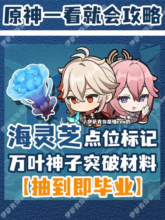 轻松搞定万叶培养：全等级突破材料汇总