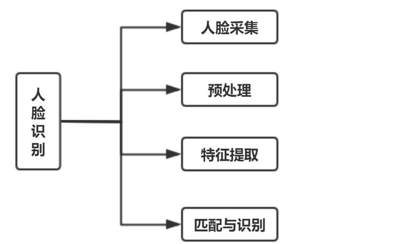 轻松搞定游戏人脸识别：快速通过的简单步骤详解