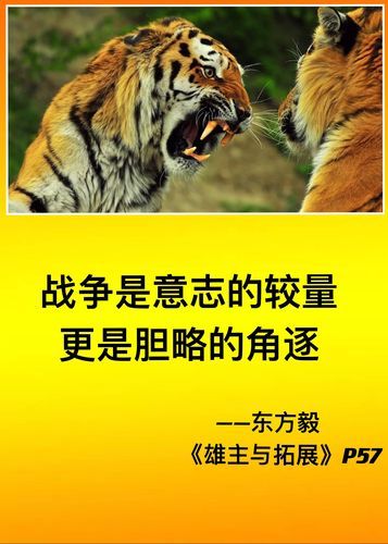 轻松获得不灭的炉心壳：高效狩猎技巧分享