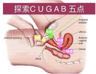 轻松进入g.e-hentai.org，e站的正确打开方式