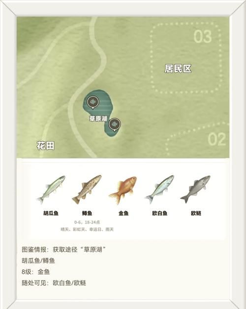 轻松钓黑鳍鲨：地图位置及技巧分享
