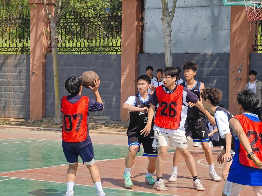 轻狂讲的是什么故事？校园篮球少年的甜虐爱情！