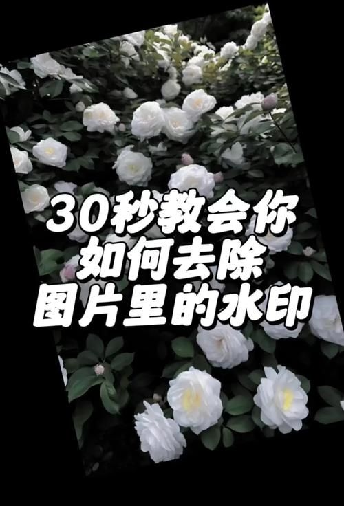 轻颜照片水印去除技巧：手机轻松去除水印