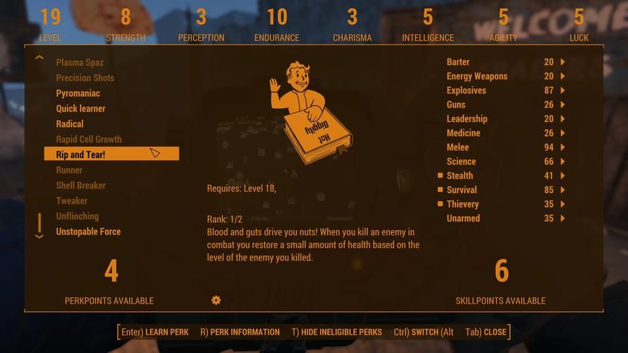 辐射4MOD安装教程：轻松管理你的游戏MOD