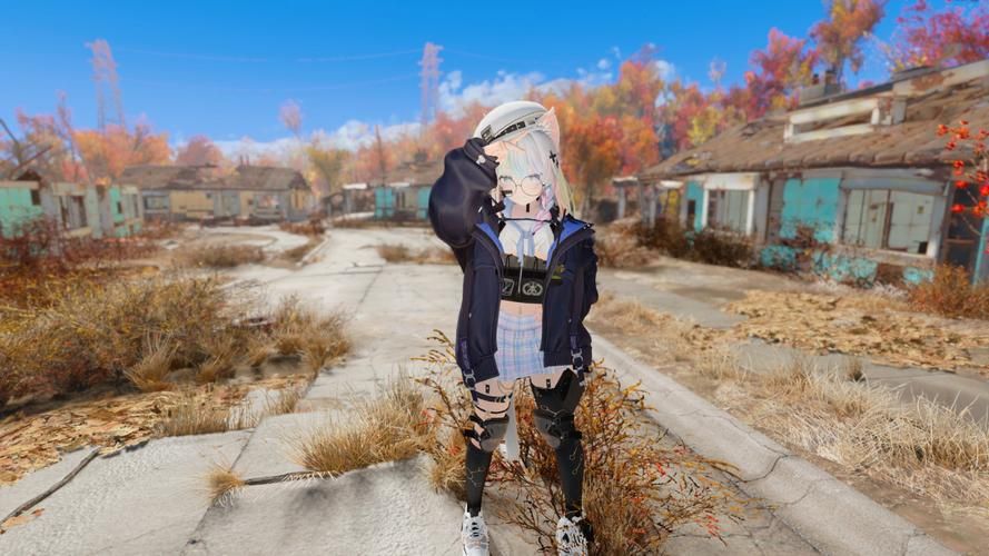 辐射4MOD安装教程：轻松管理你的游戏MOD