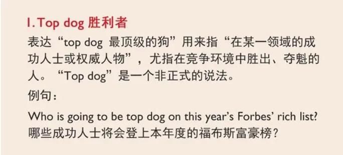 边界英文翻译：地道表达及实用例句分享