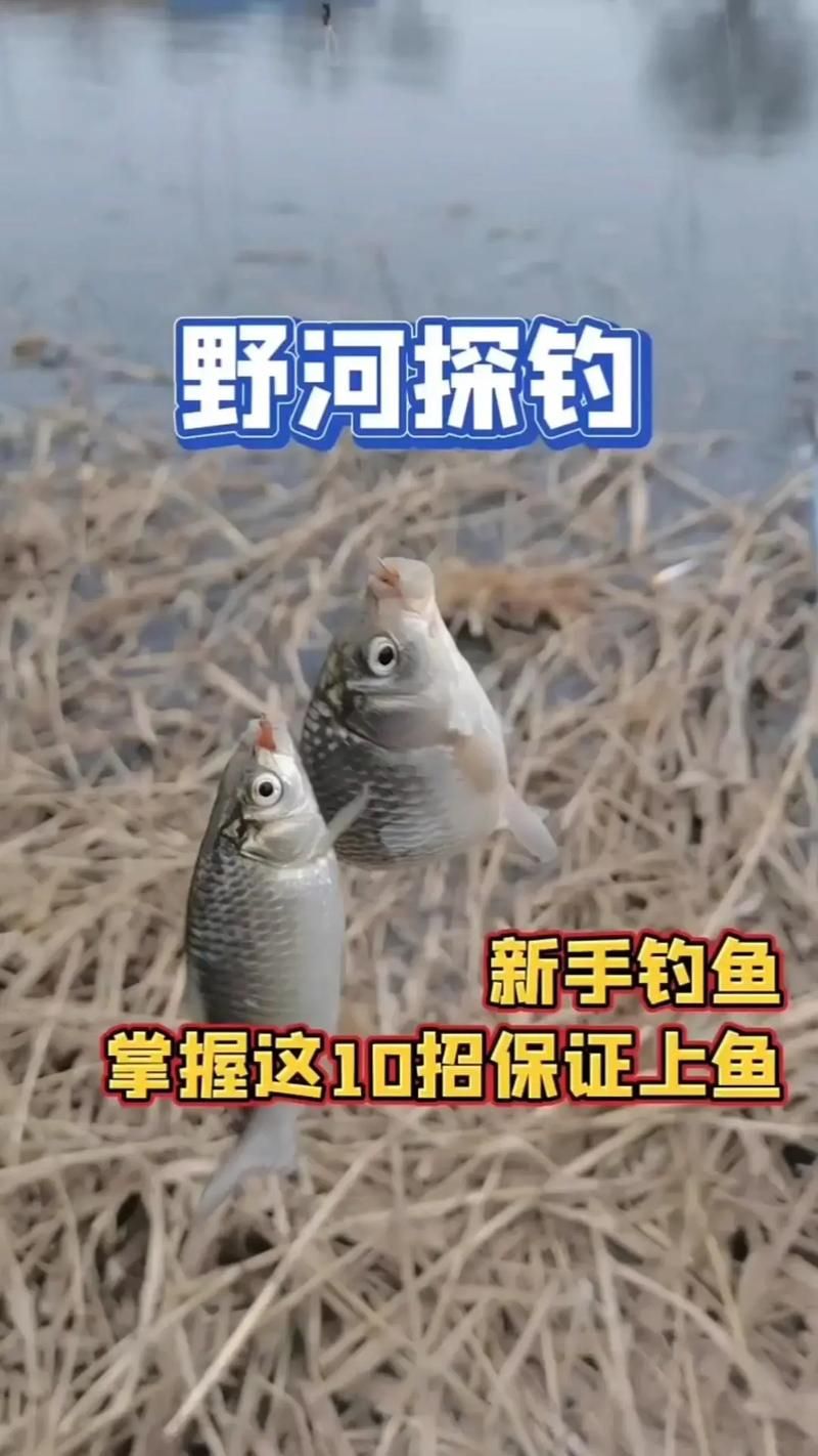 辽宁钓鱼论坛：找钓友，分享钓鱼技巧，发现更多钓点！