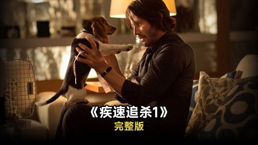 迅疾如风：挑战自我，突破速度的极限