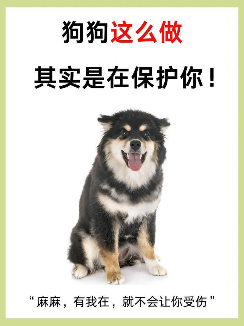 迅雷狗狗www.gougou.com：安全吗？隐私保护怎么样？
