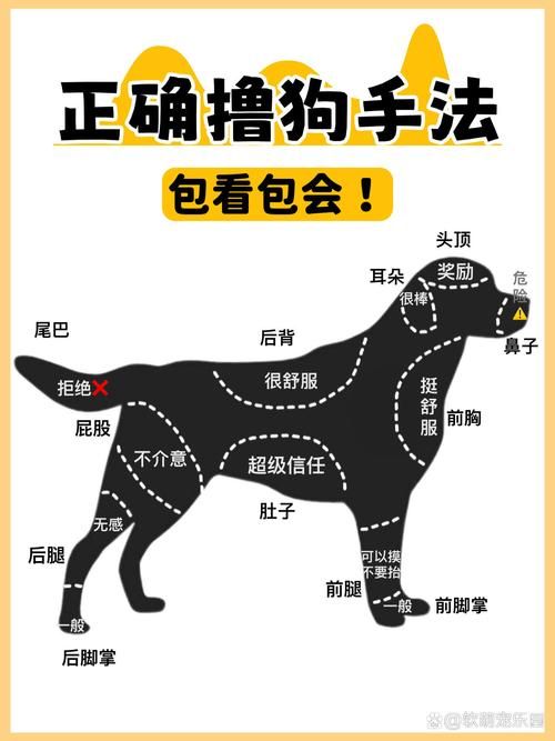 迅雷狗狗www.gougou.com：安全吗？隐私保护怎么样？