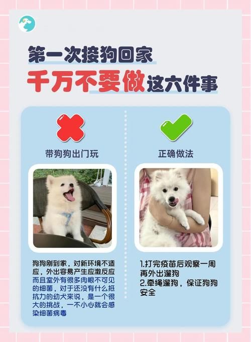 迅雷狗狗www.gougou.com：安全吗？隐私保护怎么样？