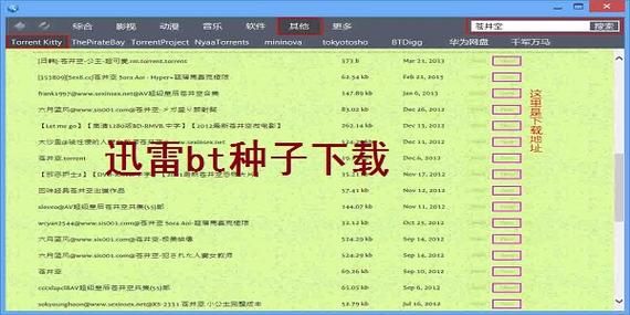迅雷资源网站好用吗？分享几个靠谱的下载网站