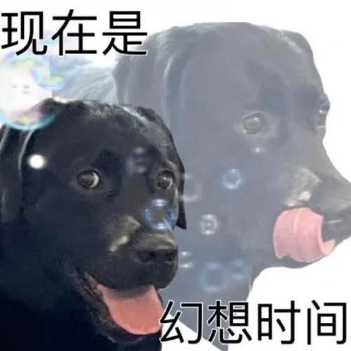 运气逆天？带你了解网络流行语“狗托”的含义