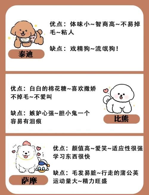 运气逆天？带你了解网络流行语“狗托”的含义