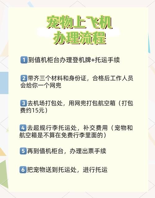运货行动！新手玩家必看，快速通关任务技巧