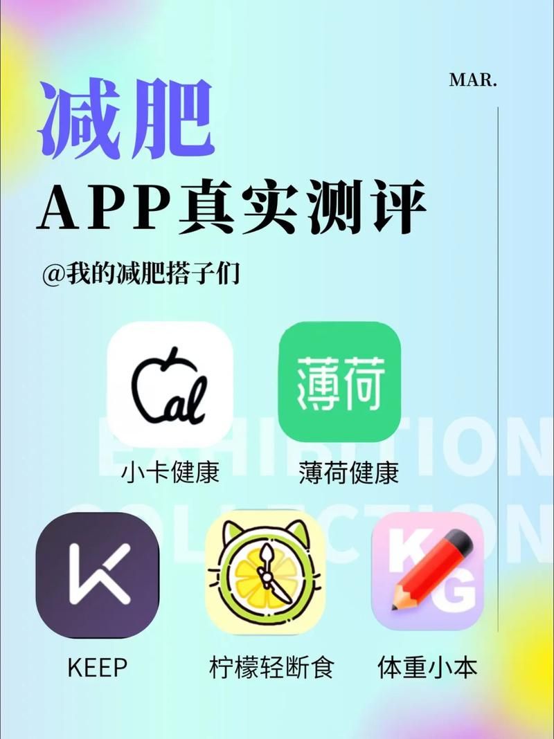 还在为体重管理烦恼？isense体重秤app下载帮你解决