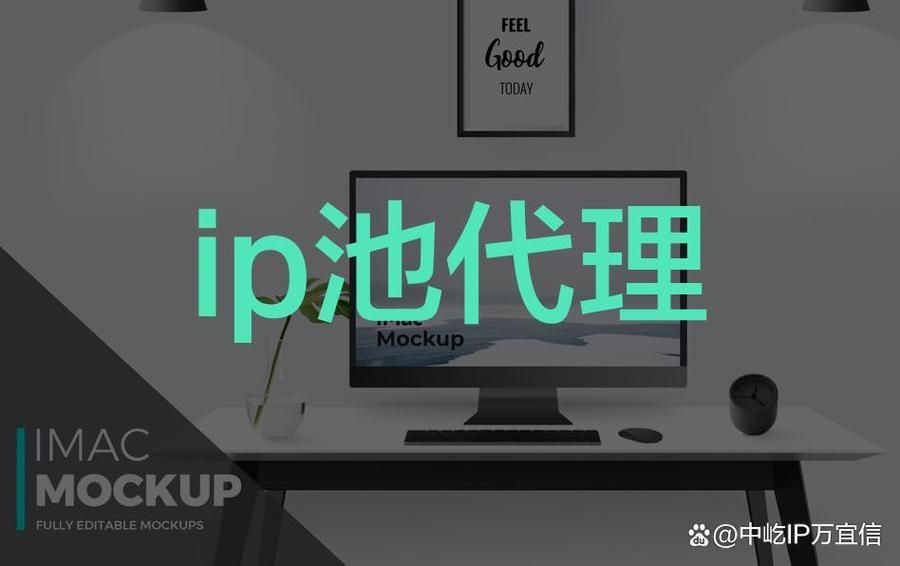 还在为选择国内IP代理而烦恼？这篇评测帮你找到最佳选择
