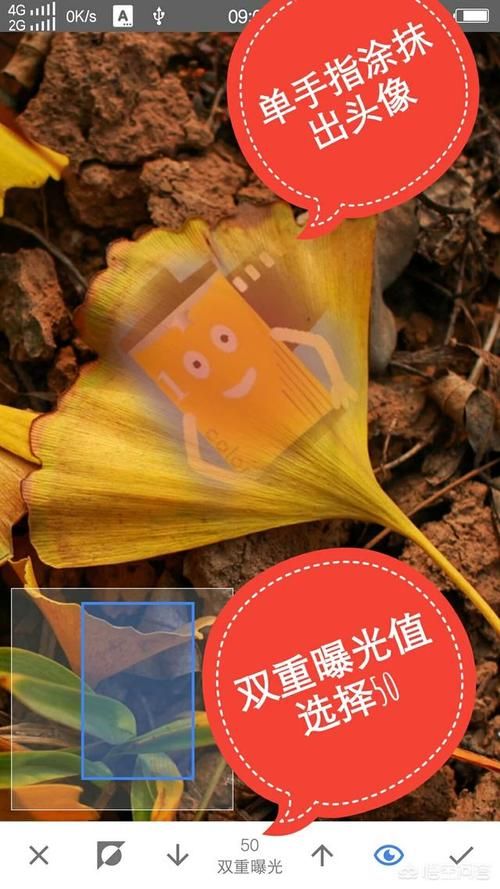 还在找Snapseed中文官网？这里有你需要的全部内容
