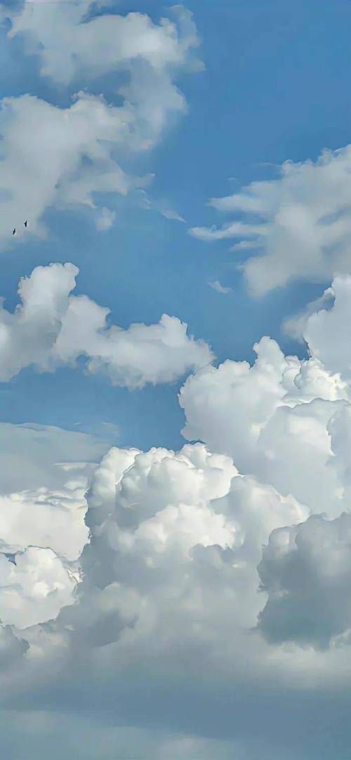 还在用静态壁纸？试试AwesomeWallpaper！