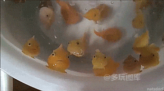 还在等什么？千年杀游戏带你体验不一样的乐趣
