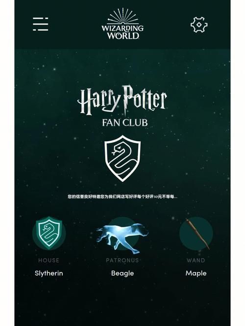 还在等什么？快来WIZARDING WORLD分院测试吧！
