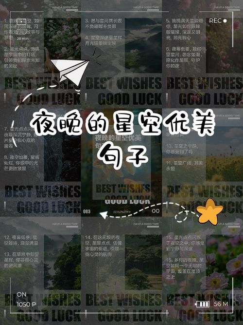 这句“温柔的星空应该让你感动”你听过吗？歌曲背后的故事令人动容！