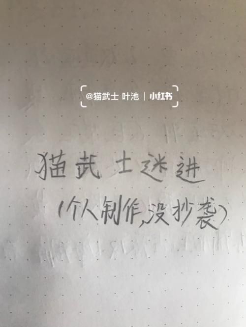 这是什么梗？“看看你的”含义及出处深度解读