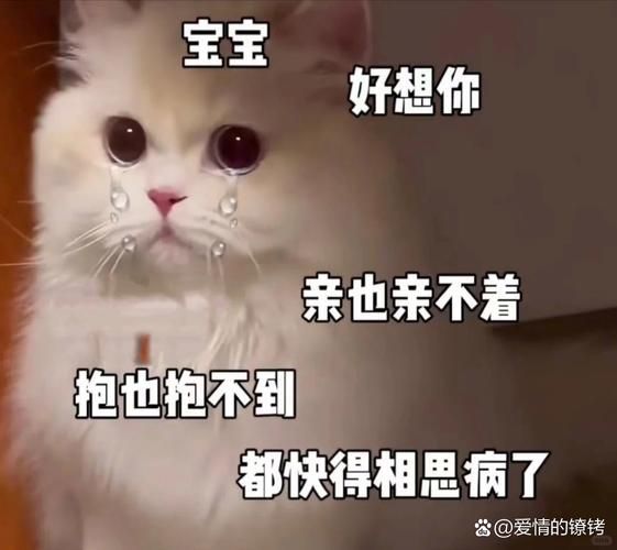 这是可以说的吗？超全表情包合集，让你聊天更有趣