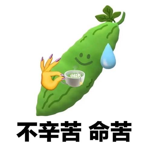 这题太难了！大神来救救我吧