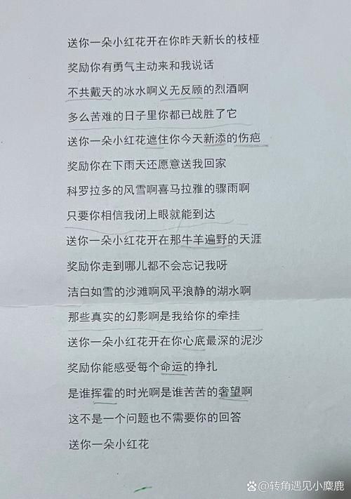这首歌太好听了！“你看那花儿多红啊”是什么歌名？