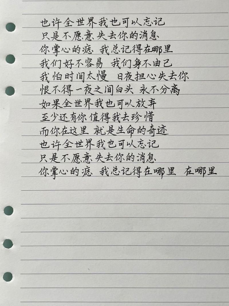 这首歌的歌词好听吗？当我孤独的时候还可以抱着你歌词赏析