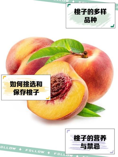 迷你世界桃子有什么用？桃子的隐藏作用大揭秘！