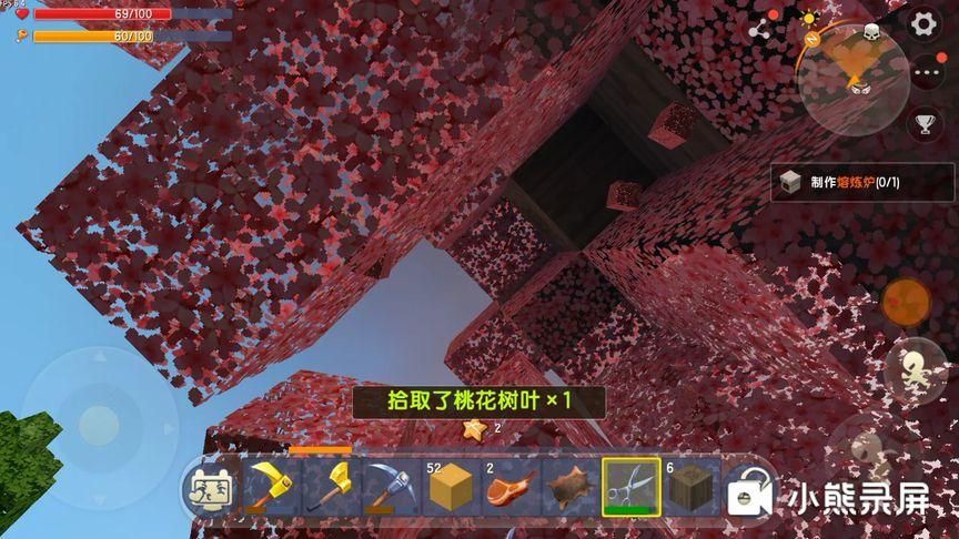 迷你世界桃花树苗怎么种？新手种植桃花树全攻略