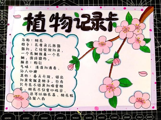 迷你世界桃花树苗怎么种？新手种植桃花树全攻略