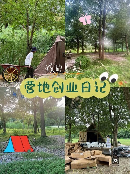 迷你营地资源获取技巧：快速发展，打造最强营地