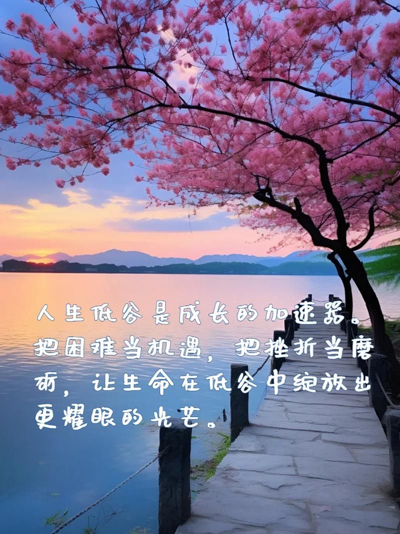 迷失方向？你需要梦想，你需要眼泪，更需要一个指引：走出人生低谷