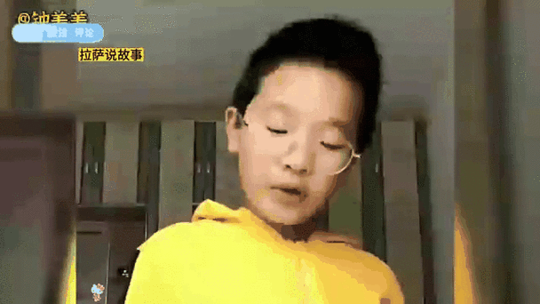 迷路的小灰灰火了！网友戏精模仿，笑到肚子疼