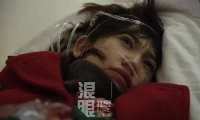 迷路的小灰灰火了！网友戏精模仿，笑到肚子疼