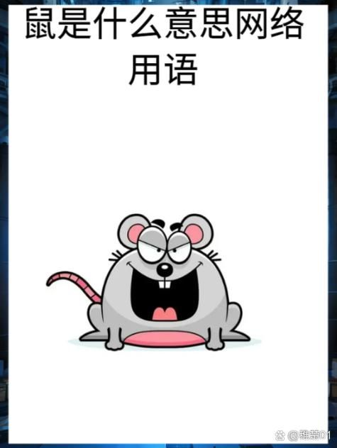 退坑是什么意思？网络流行语深度解析及含义